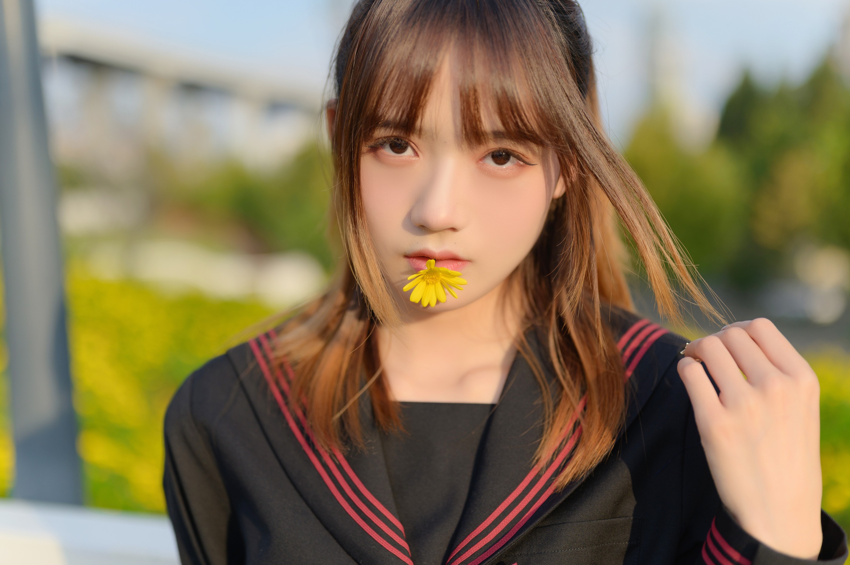 图片[1]-兔子Zzz不吃胡萝卜 – NO.136 小花 [34P]-XikXak